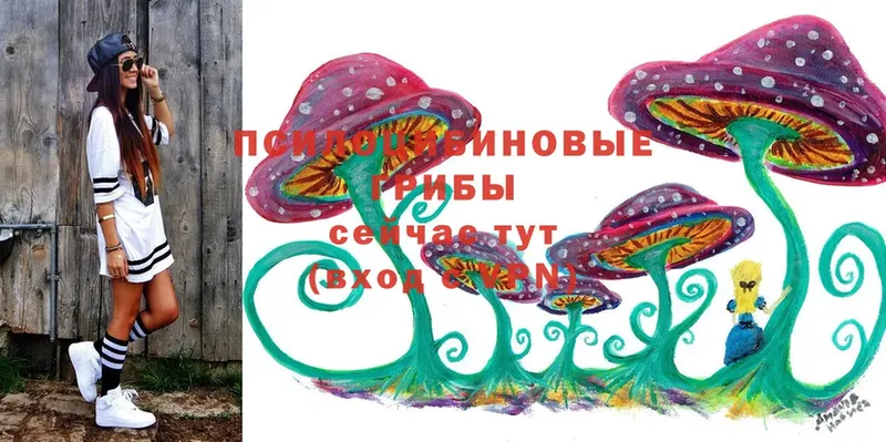 Галлюциногенные грибы Cubensis  Бор 